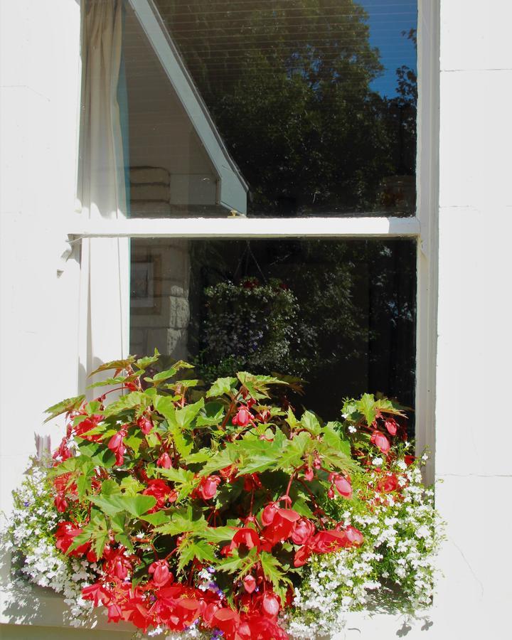 Grey Gables Farmhouse B&B Innishannon エクステリア 写真