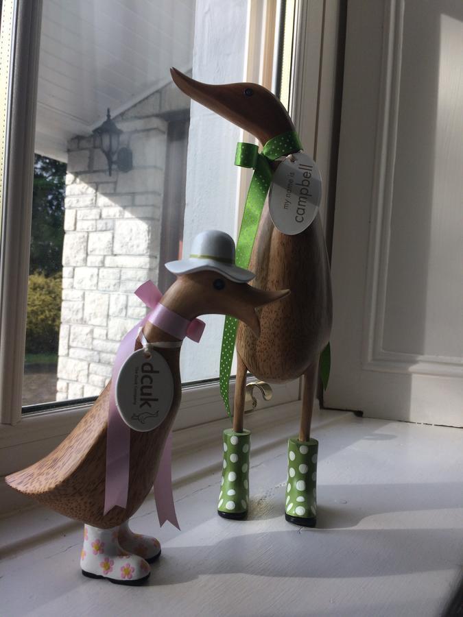 Grey Gables Farmhouse B&B Innishannon エクステリア 写真