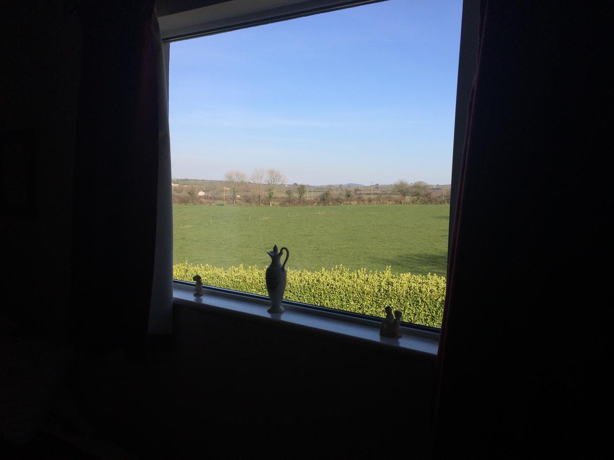 Grey Gables Farmhouse B&B Innishannon エクステリア 写真